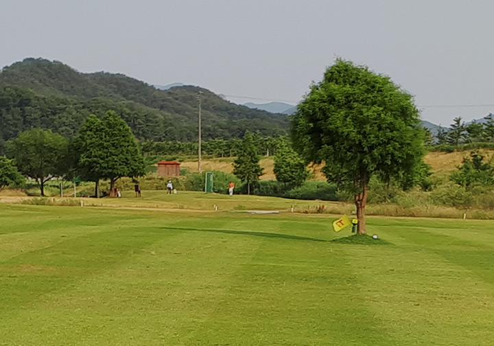 배너